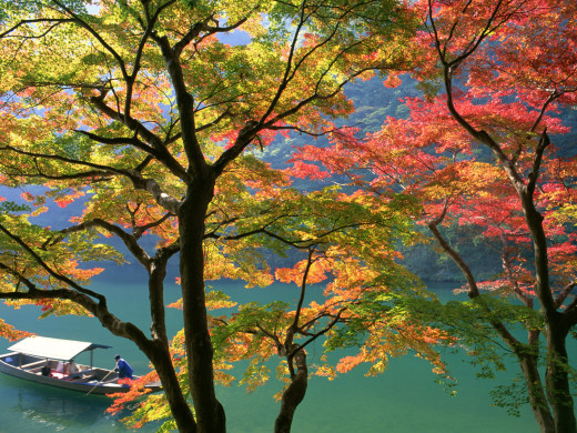 42435 (a): :1600x1200